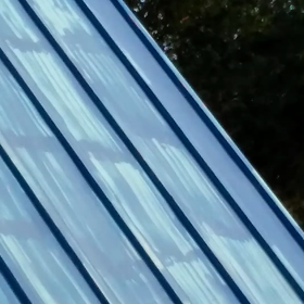 姿は見えませんでしたがの画像