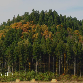 本日もお疲れ様でした☘️☕️☘️の画像