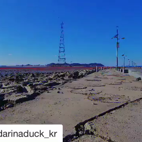 ボゴミ、mandarinaduckの画像