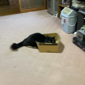 ここが1番ฅ(>ω<ฅ)の画像