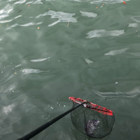 北西風がキツい！の画像