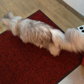 あれ、どこいった？の画像