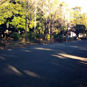 越谷春季記録会リレー選考会(男子)②の画像