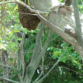 オーすごい❗の画像