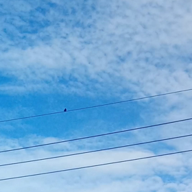 季節は着実に進んでいきます(◡ ω ◡)の画像