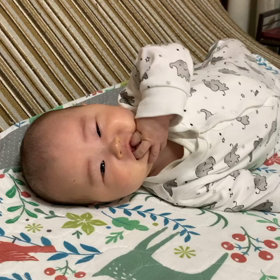 〜明けましておめでとうございます〜の画像