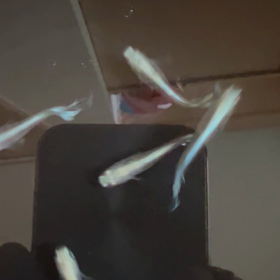 マリアージュの画像