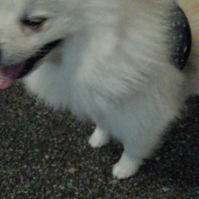 夜の散歩の画像