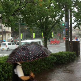 秋の雨の画像