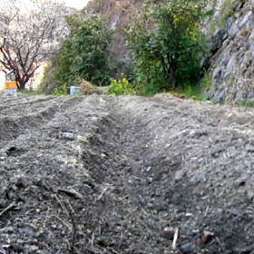 すぎぴたんの事件簿　シーズン２　１９０話（くるぅ、きっと、くるぅ～、来たら何するぅ～）の画像