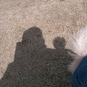 ボール⚾️遊び❗️の画像