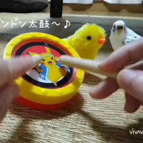 怒ってる⁉の画像