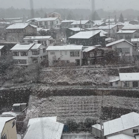 雪だYO 今朝の草津温泉♨︎の画像