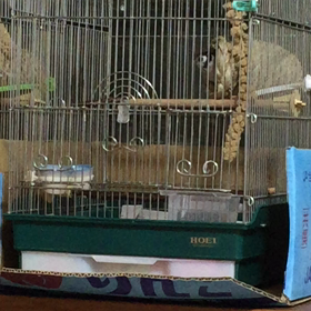 おやすみって言っただけなのに(^^)の画像