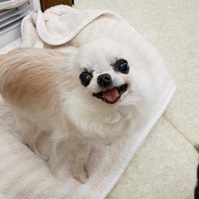 ☆アイチューバーpart2☆の画像