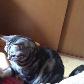 起きて〜の画像