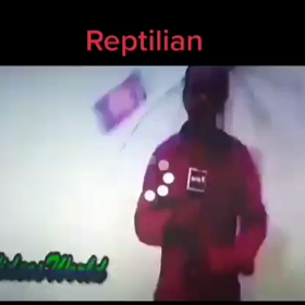 爬虫類　WaldaWorld1の画像