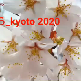 送って……の画像