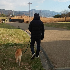 そんなことを言っておきながらの画像