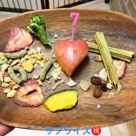 プッチもお誕生日の画像