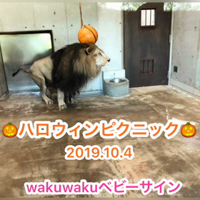 ハロウィンピクニック【動画】part1.2の画像