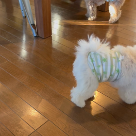 ちょっとだけの画像