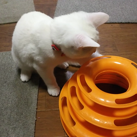 おもちゃ♪の画像