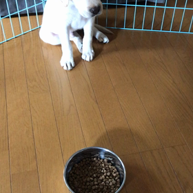 朝ごはん♪の画像