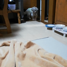 今日のいっくんの画像