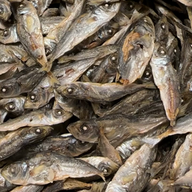 日曜日のセメント煮干は2種類用意します！の画像