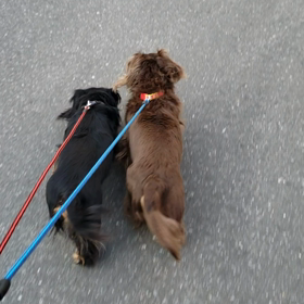 十人十色の画像