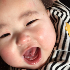 パクパク。、の画像