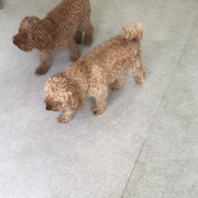 ♪プレイルーム動画♪の画像