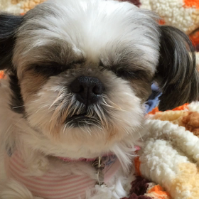 グズった後の画像