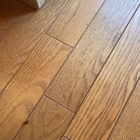 それな、有沢ばらしの画像