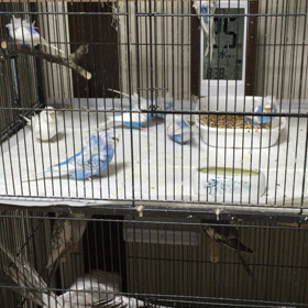 食べ比べの画像