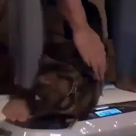 アラビニャンダンスの画像