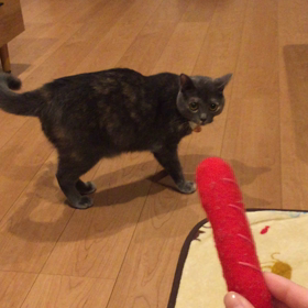 フランクフルト？の画像