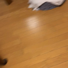 ジム通い復帰でジム友さんと再会！デール久しぶり、空腹？の画像