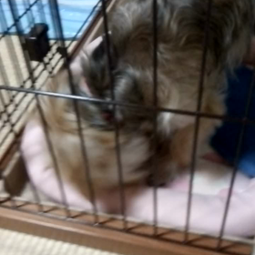 只今20:30。の画像