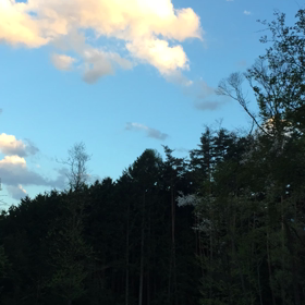 ゴールデンウィークのピークを控えての画像