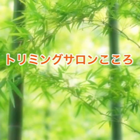 スライドショーの画像