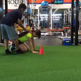 動画 【クマ歩き】の画像