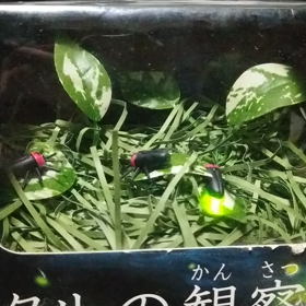 新しい1週間の画像