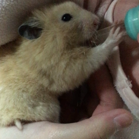 久しぶりの更新なのにの画像