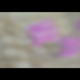 胃が、。の画像