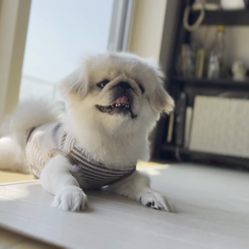 2年前の今日、お腹の中の双子の運命が変わったの画像