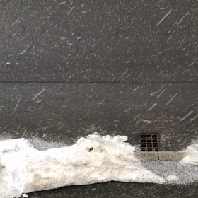 雪…ですの画像