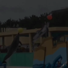 コンクール3日目の画像