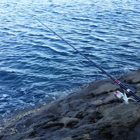 良い天気！✴の画像